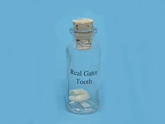 Alligator Teeth in a Bottle 